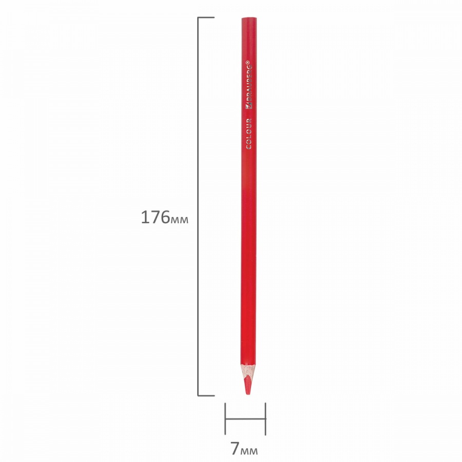 Карандаши цветные 12 цветов Brauberg Premium (L=176мм + 1 чернографитный карандаш, d=3мм, 3гр, пластик) (181936)