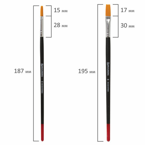 Набор кистей Brauberg, синтетика, круглые №1,2,5, плоские №5,8, блистер 5шт. (200219)