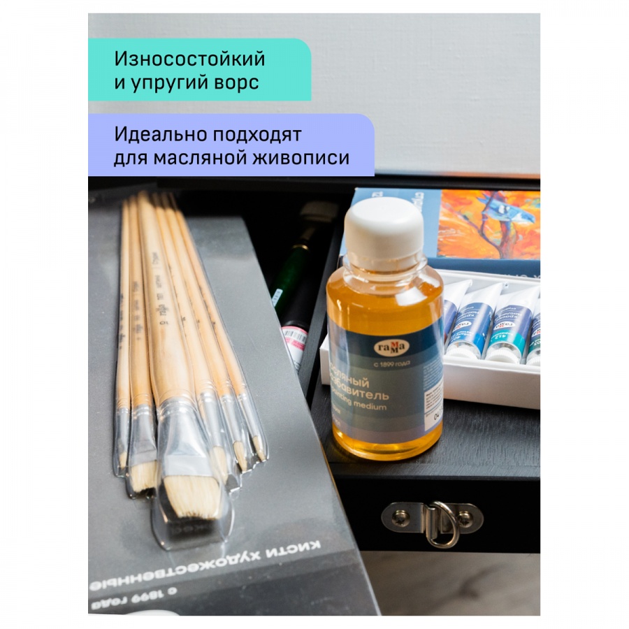 Набор художественных кистей Гамма &quot;Студия&quot;, 6шт., круглые №2,6,10, плоские №2,6,10, блистер (11001006), 100 уп.