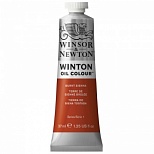 Краска масляная художественная Winsor&Newton "Winton", 37мл, туба, жженая сьена (1414074)