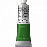 Краска масляная художественная Winsor&Newton "Winton", 37мл, туба, глауконит (1414637)