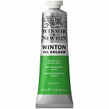 Краска масляная художественная Winsor&Newton "Winton", 37мл, туба, светло-зеленый перманентный (1414483)